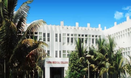 Terna Medical College